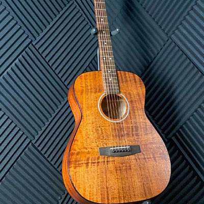 image of ACOUSTIC guitar for sale from WestSide Music